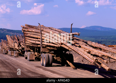 Registrazione caricato i carrelli in attesa di carico scarico del log in un dump del registro cantiere, BC, British Columbia, Canada Foto Stock