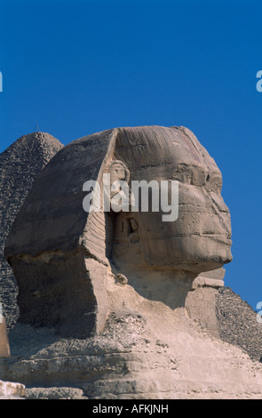 Egitto Nord Africa Medio Oriente Area del Cairo Giza Sfinge prima del restauro con la piramide di Kharfe o Khephren dietro Foto Stock