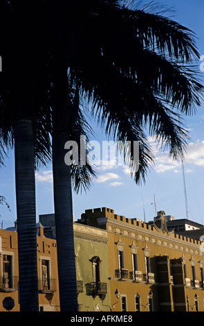 Messico campeche zocalo gli edifici colorati e un palme al tramonto Foto Stock
