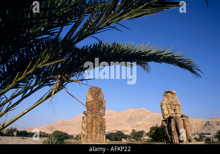 Egitto Luxor West Bank i due colossi Memnon statue a Valle dei Re Foto Stock