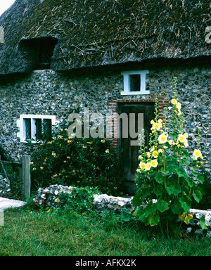 Hollyhocks giallo in estate bordo anteriore del mattone +con tetto di paglia di flint cottage di campagna Foto Stock