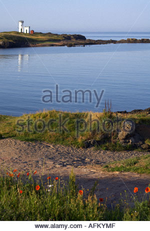 Elie faro, Fife Scozia Scotland Foto Stock