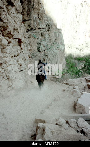 Un lavoratore Havasupai scorre giù per il suo lavoro nei pressi del villaggio nel Parco Nazionale del Grand Canyon Arizona Foto Stock