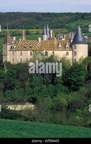 Chateau La Rochepot castello vicino a Beaune Borgogna Francia Foto Stock