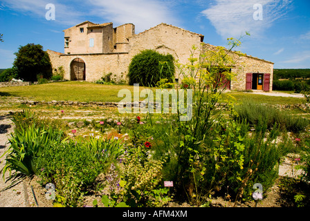 Salagon Abbazia, giardino botanico, Provenza, Francia meridionale Foto Stock