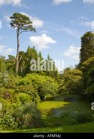 I giardini, create principalmente nel XIX secolo era uno dei più bei giardini in Inghilterra del loro periodo, con 57 acri di Foto Stock