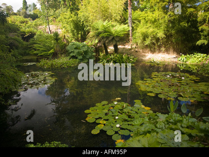 I giardini, create principalmente nel XIX secolo era uno dei più bei giardini in Inghilterra del loro periodo, con 57 acri di Foto Stock