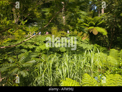 I giardini, create principalmente nel XIX secolo era uno dei più bei giardini in Inghilterra del loro periodo, con 57 acri di Foto Stock