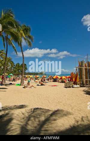 Oahu Honolulu Waikiki beach surf surf lucertole da mare rilassante Foto Stock