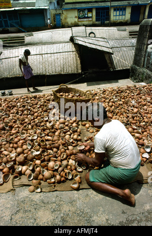 India Kerala Cochin cibo essiccazione di smistamento noci di cocco Foto Stock