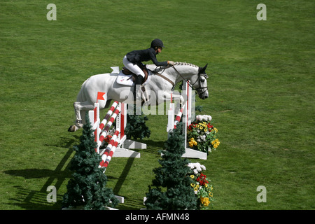 Equestrian show jumping a Calgary Alberta Canada l unità europea di coordinamento operazione co compagno di squadra il lavoro di squadra Foto Stock