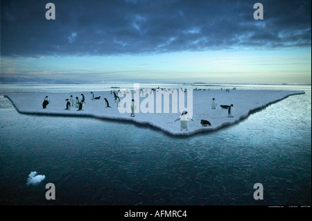 Adelie pinguini su un glaçon Cape Adare Antartide Foto Stock