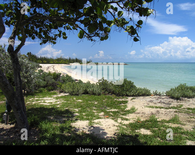 Porto nuovo Providence Beach, a Nassau, Bahamas. Foto Stock