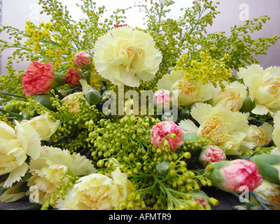 Commerciale di disposizione dei fiori di vari colori al fioraio Foto Stock