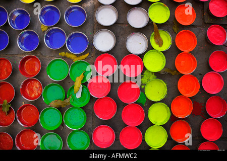 Vasi di vernice utilizzata per la decorazione di elefanti per il Festival di elefante Jaipur India Foto Stock