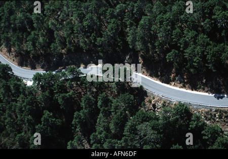 Vista aerea della strada vuota attraverso la foresta Foto Stock