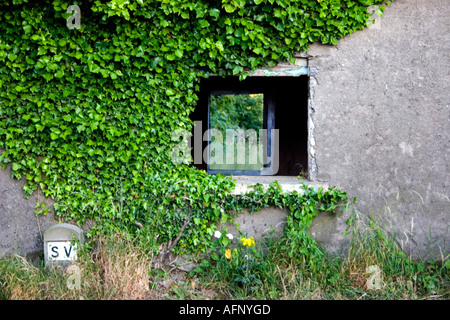 Finestra rotta del vecchio cottage in Irlanda Foto Stock