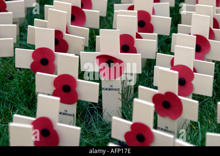 Campo delle piccole croci di soldati caduti sul giorno del ricordo a Londra Foto Stock