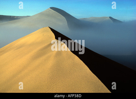 Stati Uniti Idaho Bruneau Sand Dunes State Park il singola più alta duna in Nord America Owyhee Canyonlands Foto Stock