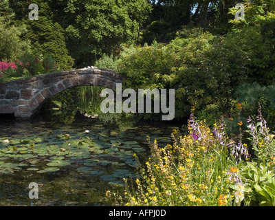 Giardini Botanici di Ness stagno e ponte in giardino di roccia in estate Neston Cheshire England Regno Unito Gran Bretagna Foto Stock