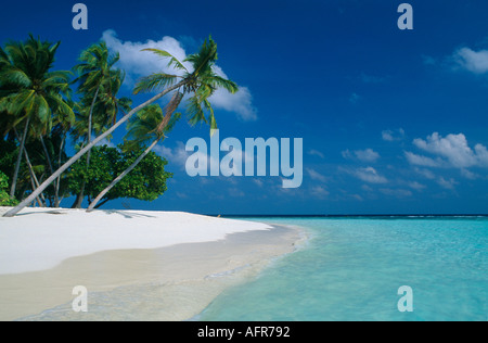 Spiaggia tropicale Kuda Bandos South Male Atoll Maldive Foto Stock