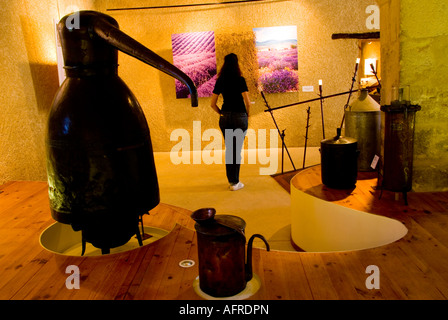 Salagon Abbazia, Museo della Lavanda, Provenza, Francia meridionale Foto Stock