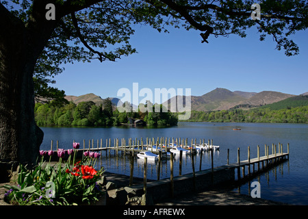 Derwentwater verso Cat Bells & Causey Pike in primavera la mattina presto Foto Stock