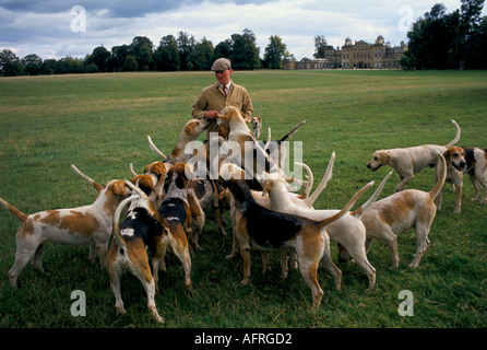 Charles Wheeler Huntsman. Duke of Beaufort Hunt Badminton estate Gloucestershire esercizio del cane mattutino in Parkland 1996 1990s UK HOMER SYKES Foto Stock