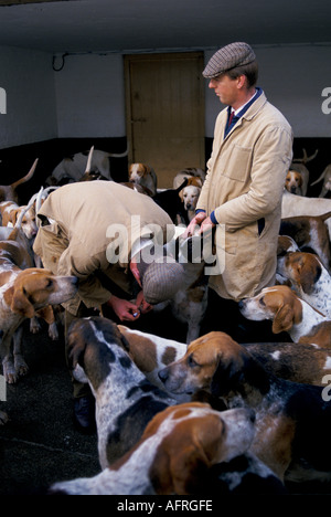 Charles Wheeler alimenta i leoni dopo un esercizio mattutino il Duca di Beaufort Hunt Badminton House estate Gloucestershire 1996 1990s UK HOMER SYKES Foto Stock