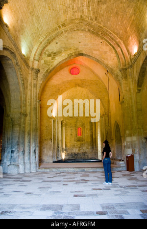 Salagon Abbazia, Provenza, Francia meridionale Foto Stock