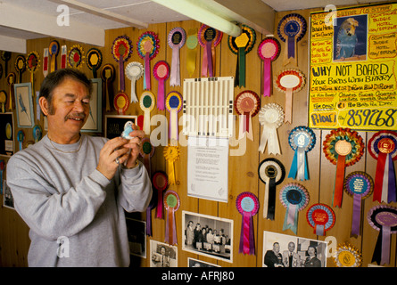 Barry Cross, proprietario dell'hotel Budgie, nel suo ufficio, è un allevatore e mostra i suoi uccelli. Rosette sul muro. Scunthorpe, Lincolnshire. Anni '1994 1990 Regno Unito Foto Stock