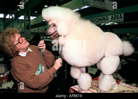 Bianco standard Poodle essendo pettinati pronte per essere mostrato il Crufts Dog Show con la femmina per il proprietario 1991 1990S UK HOMER SYKES Foto Stock