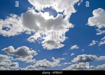 Cottony cumulus nubi nel cielo di estate blu Ottertail County Minnesota USA Foto Stock