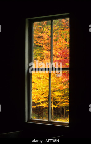 I colori autunnali attraverso la finestra Foto Stock