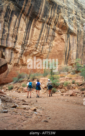 Tre donne escursionismo il Grand Lavare a Capitol Reef National Park nello Utah Stati Uniti d'America Foto Stock