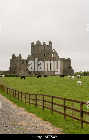 Dunbrody Abbey Dumbrody County Wexford in Irlanda Foto Stock