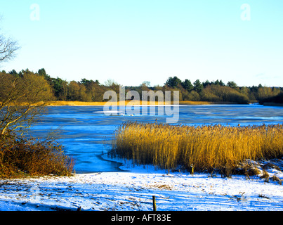 FRENSHAM SURREY UK Gennaio vista sul laghetto congelato dopo una caduta di neve Foto Stock