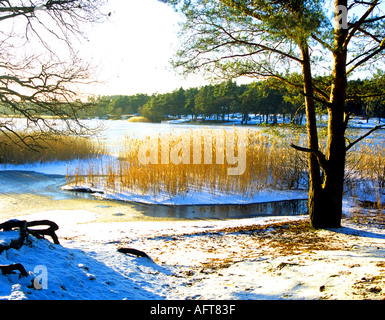 FRENSHAM Surrey in Inghilterra UK Gennaio vista sul laghetto congelato dopo una caduta di neve Foto Stock