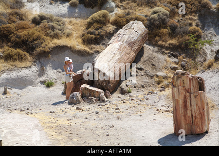 Paesaggio in isola di Lesbo territorio foresta pietrificata Grecia Foto Stock