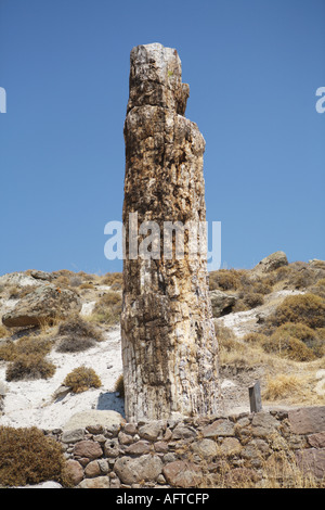 Paesaggio in isola di Lesbo territorio foresta pietrificata Grecia Foto Stock