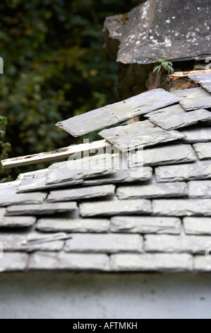 Heavy tradizionale ardesia allentato sul rovinato abbandonate abbandonate tetto cottage nella contea di Antrim Foto Stock