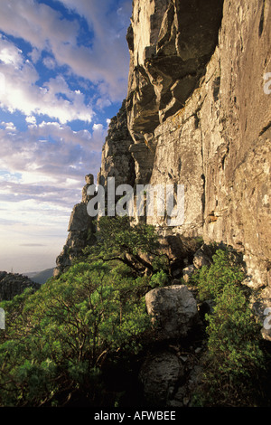 Sud Africa, Città del Capo e di Table Mountain sentiero escursionistico Foto Stock