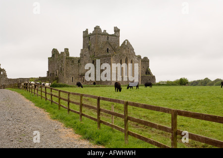 Dunbrody Abbey Dumbrody County Wexford in Irlanda Foto Stock