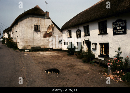 Pub del villaggio, The Masons Arms, Knowstone, Devon. Un piccolo pub contadino del XIII secolo. Paglia e sbriciolamento. 1991 1990S UK HOMER SYKES Foto Stock