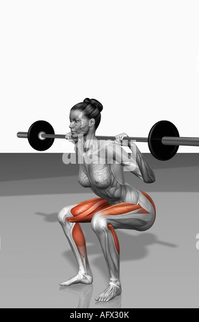 Barbell squat esercizi (parte 1 di 2) Foto Stock