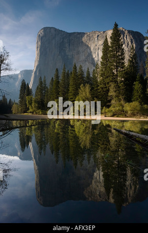 El Capitan riflette perfettamente sotto la dolce luce del Parco Nazionale di Yosemite USA Foto Stock