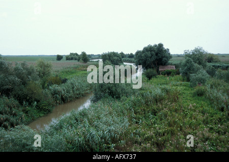 I canali nel Delta del Danubio Foto Stock