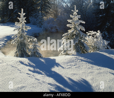 DE - Baviera: Winterscene vicino a Ettal Foto Stock