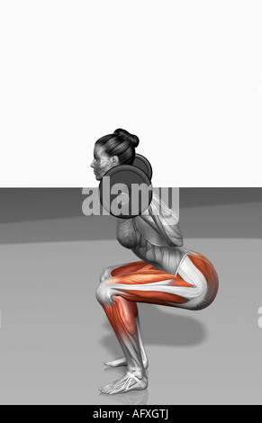 Barbell squat esercizi (parte 1 di 2) Foto Stock