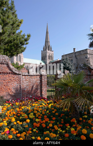 La guglia della cattedrale di Chichester è vista dai Bishops Palace Gardens, West Sussex, Inghilterra, Regno Unito Foto Stock